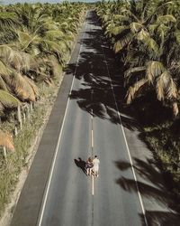 High angle view of couple walking on road in city