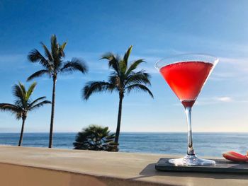 Closeup cocktail against palm trees on beach against sky