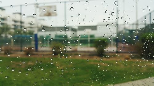 drop