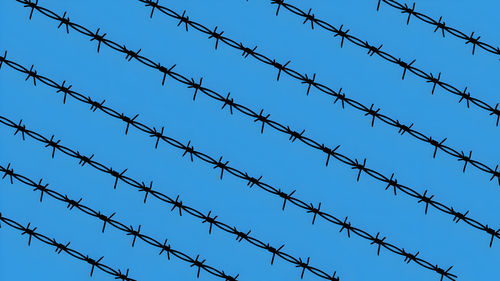 Low angle view of birds flying against clear sky