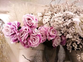 Close-up of pink flowers