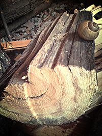 Close-up of wooden logs