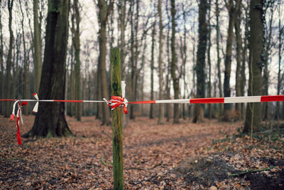 Way closed by barrier tape in in forest