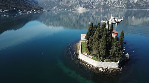 High angle view of tree by lake