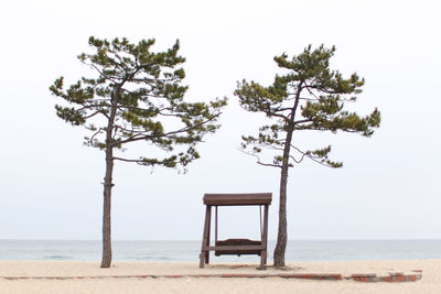 View of tree by sea against clear sky