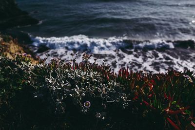 Scenic view of sea against cloudy sky