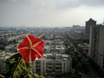 Close-up of red cityscape against sky
