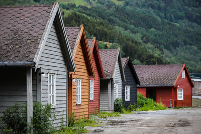 Houses by trees in forest