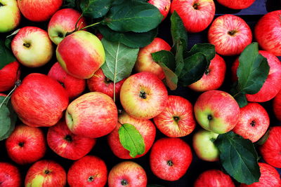 Full frame shot of apples in market