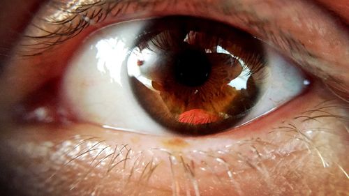 Close-up of human eye
