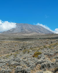 Scenic mountain against blue sky, mount kilimanjaro in tanzania