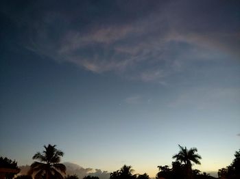 Low angle view of silhouette trees against sky