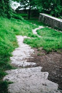 Surface level of footpath on field