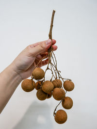 Close-up of hand holding berries over white background