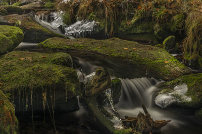 Stream flowing through rocks in forest