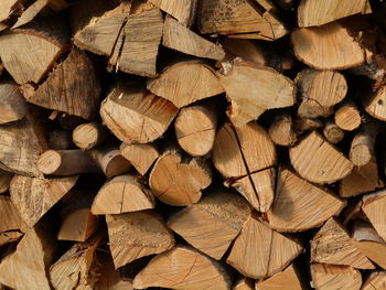 Full frame shot of logs in forest