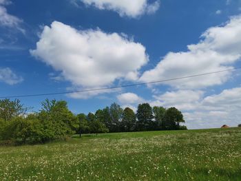 Trees on field against sky