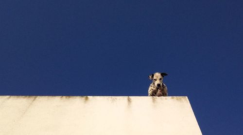 Low angle view of built structure against clear blue sky