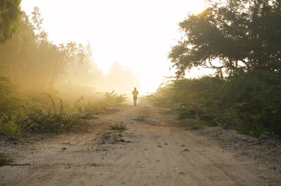 Man walking on road amidst trees against sky