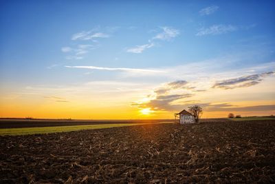 Scenic view of agricultural field against sky during sunset