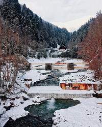 Snow covered plants and buildings against mountain