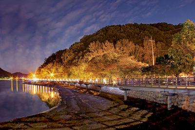 Illuminated trees by lake against sky at night