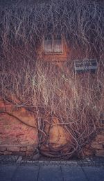 Damaged wall of house