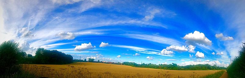 Panoramic view of agricultural field against blue sky