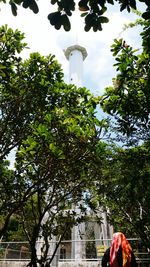 Low angle view of trees against sky