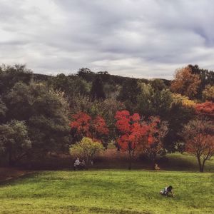 Scenic view of grassy field against cloudy sky