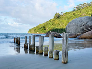 Wooden posts on beach