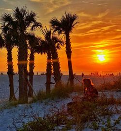 Palm trees by sea against sky during sunset