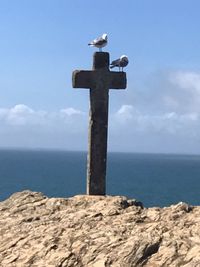 Seagull perching on wooden post by sea against sky