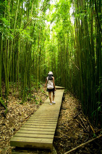 Rear view of person standing on bamboo structure