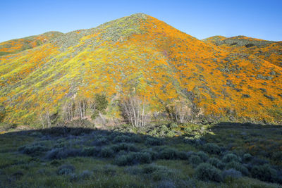 Scenic view of mountains against sky during autumn