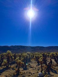 Scenic view of landscape against blue sky