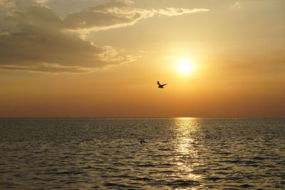Silhouette bird flying over sea against sky during sunset