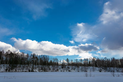 Trees on snow covered land against sky