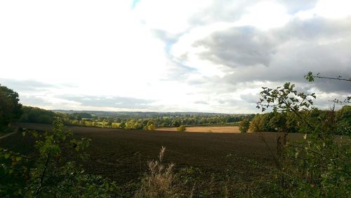 Scenic view of field against sky