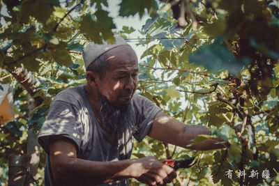 Man working on tree