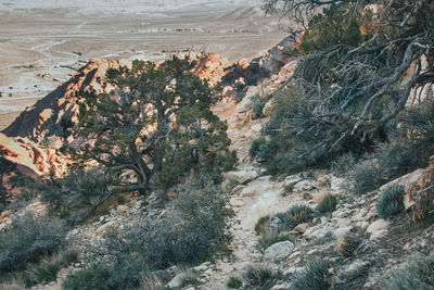 High angle view of desert landscape