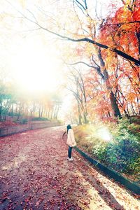 Rear view of man walking on road amidst autumn trees