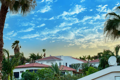 Houses and palm trees against sky