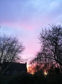 Low angle view of silhouette tree and building against sky