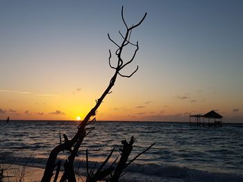 Silhouette tree by sea against sky during sunset