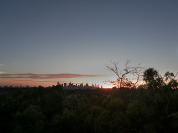 Trees on landscape against sky