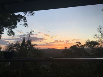 Silhouette trees against sky during sunset