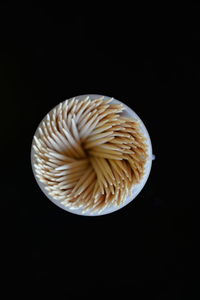 Close-up of dessert over black background