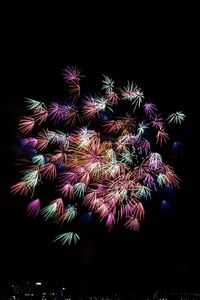 Low angle view of firework display against sky at night