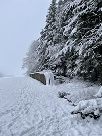 Snow covered trees on field against sky